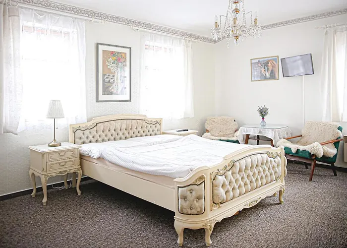 Staj Newport Dolní Domaslavice