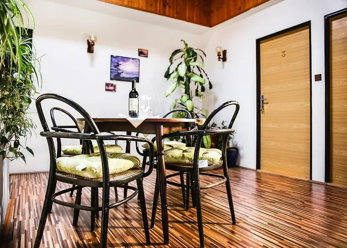 Staj Newport Pensionat