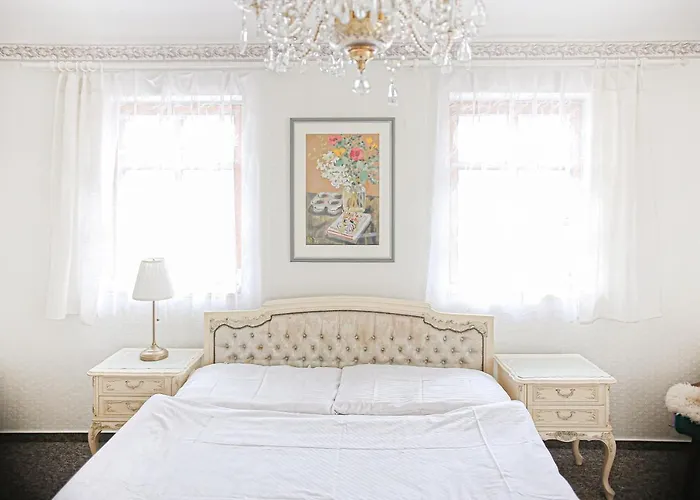 Staj Newport Dolní Domaslavice